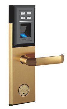 ϶ָ