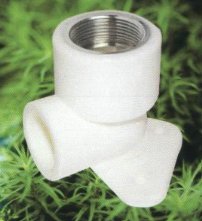 ƹ