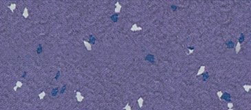 ʥС黨𽺵ذ