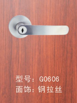 ߼Ҿ-G0606˿