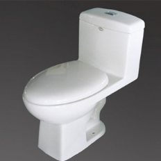 ʽ