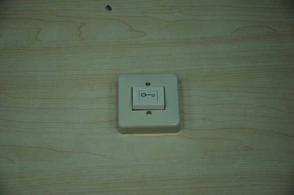 ſ-EA1010