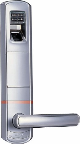 ϶ָ