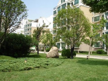 С