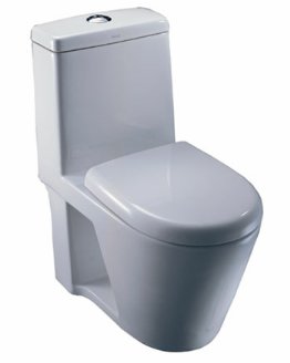 ʽ