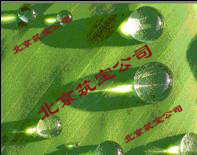 ѷˮлˮ