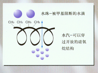 ǽ汣